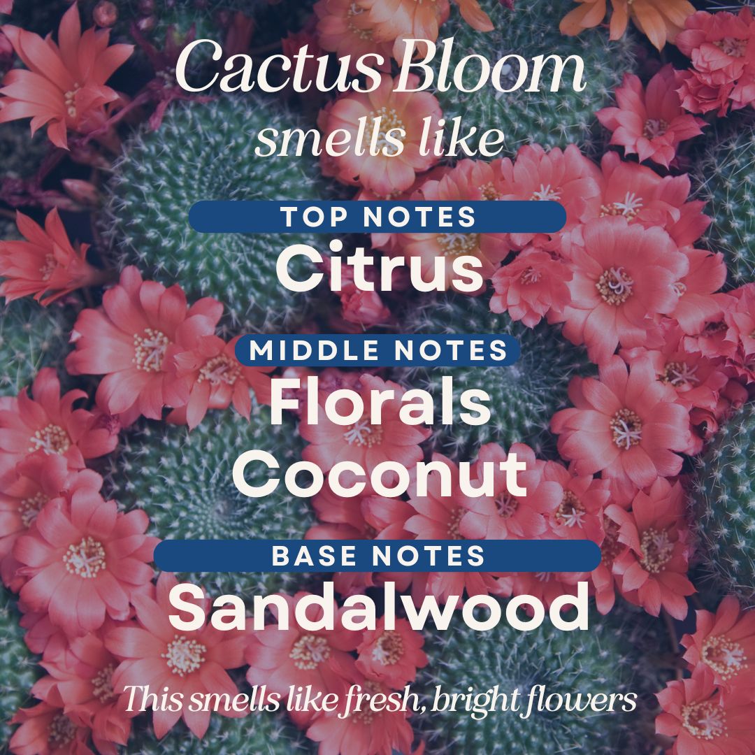Cactus Bloom Room & Linen Spray by C&E Craft Co