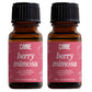 Scented Premium Fragrance Oil Multi Pack - Long-lasting Fragrance for Home