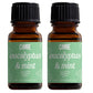 Scented Premium Fragrance Oil Multi Pack - Long-lasting Fragrance for Home